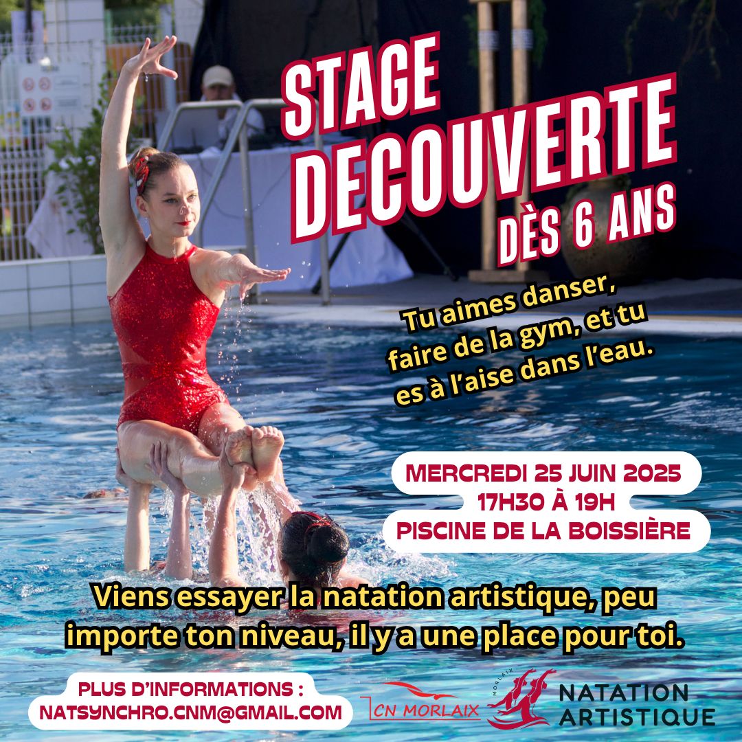 Affiche stage synchro